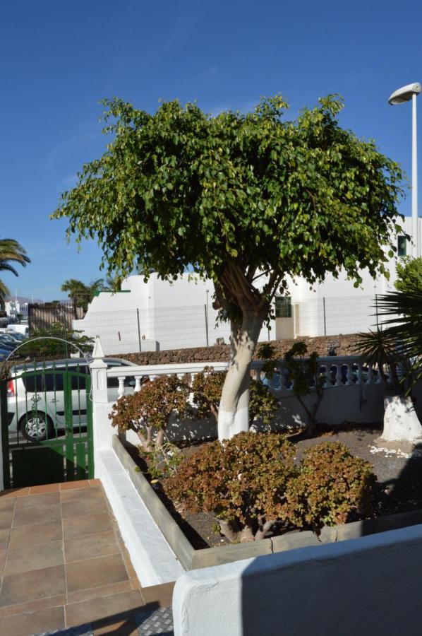 Lava Teneguia, 5 Guests In 2 Bedrooms Puerto del Carmen  Exteriör bild